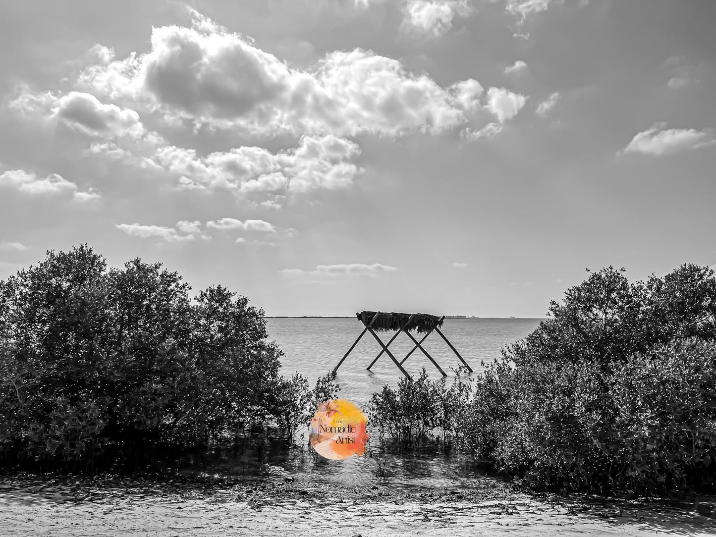 Mangrove Rest B&W